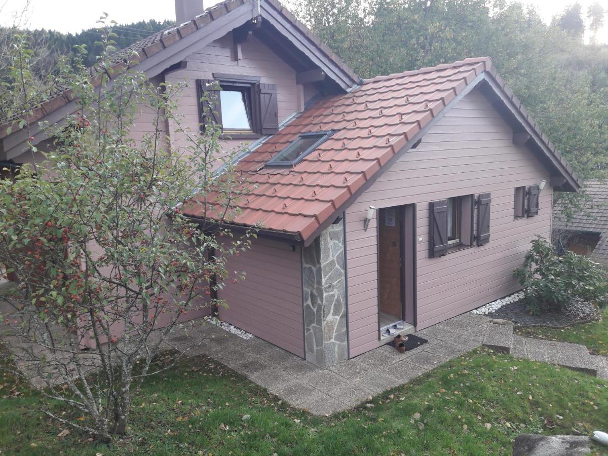 Chalet Les Sapins Argentes Gérardmer Kültér fotó