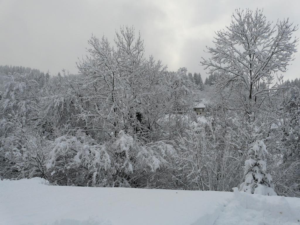 Chalet Les Sapins Argentes Gérardmer Kültér fotó