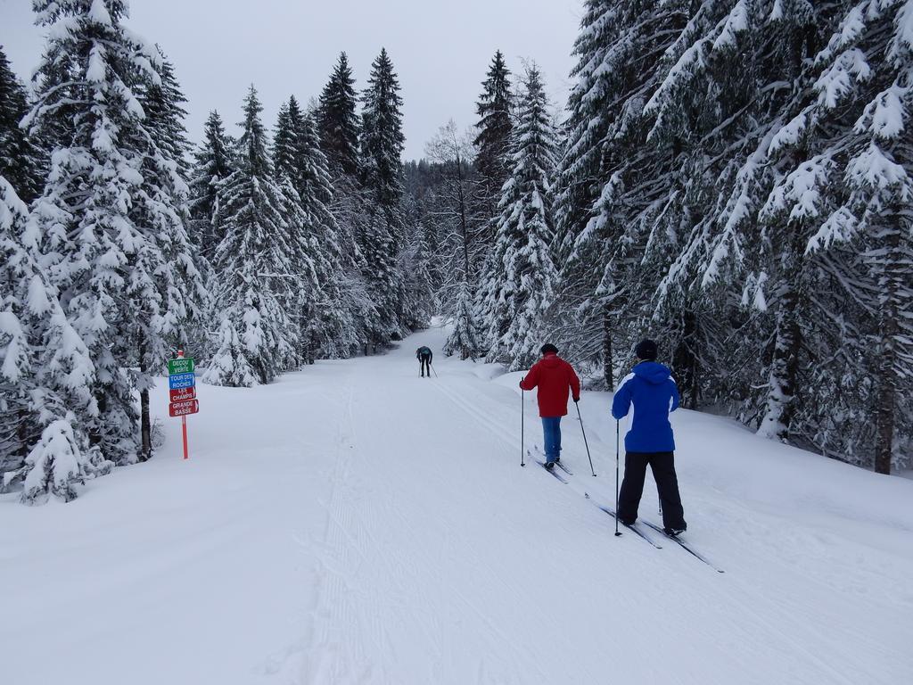 Chalet Les Sapins Argentes Gérardmer Kültér fotó