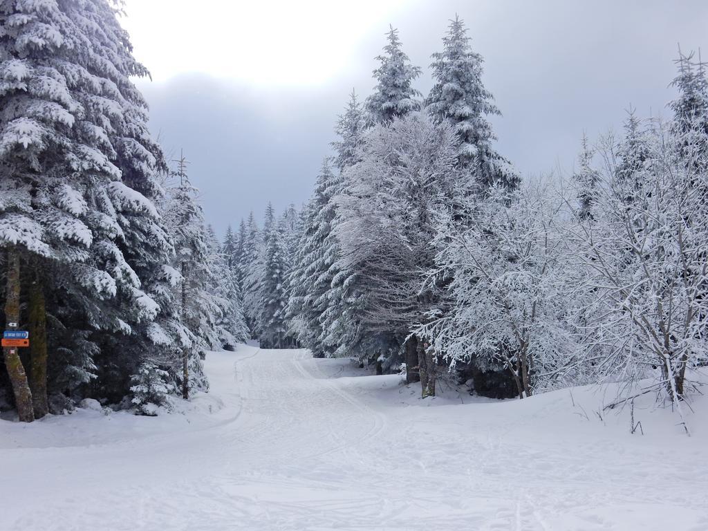 Chalet Les Sapins Argentes Gérardmer Kültér fotó