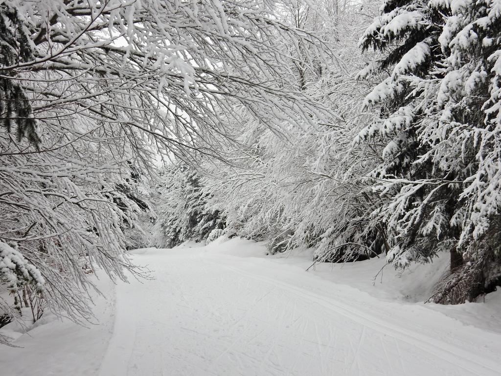 Chalet Les Sapins Argentes Gérardmer Kültér fotó