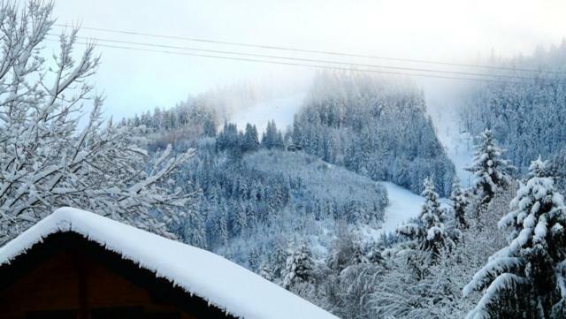 Chalet Les Sapins Argentes Gérardmer Kültér fotó